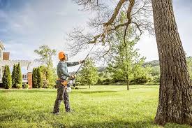 Best Arborist Consultation Services  in New Roads, LA